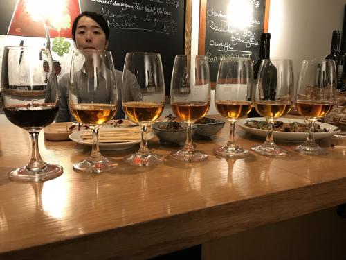 Gravner orange wine tasting | Vito Donatiello wine blog