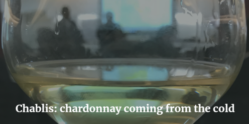 Chablis: chardonnay coming from the cold | Italian Wine & Food in China blog