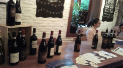 Shanghai Centree wine tasting by Italian Wine & Food In China