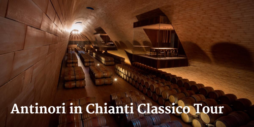 Antinori in Chianti Classico Tour by Italian Wine & Food In China