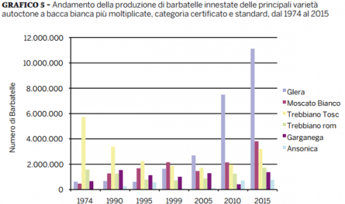 Top 5 native white rootstocks by Italian Wine & Food In China