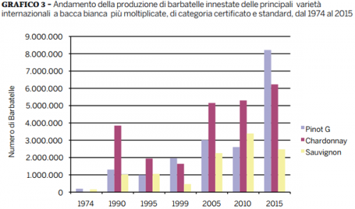 Top 5 international white rootstocks by Italian Wine & Food In China