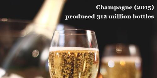 Champagne: in 2015 produced 312 million bottles by Italian Wine & Food in China