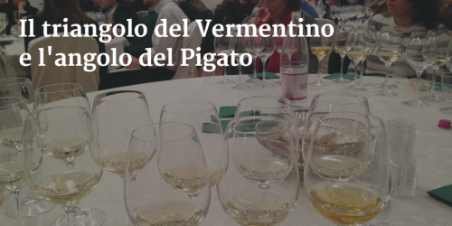 6 Vermentino and 3 Pigato wine tasting by Italian Wine & Food In China