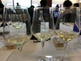 20180117_chablis_pano.jpg