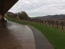 outdoor_from_winery_left.png