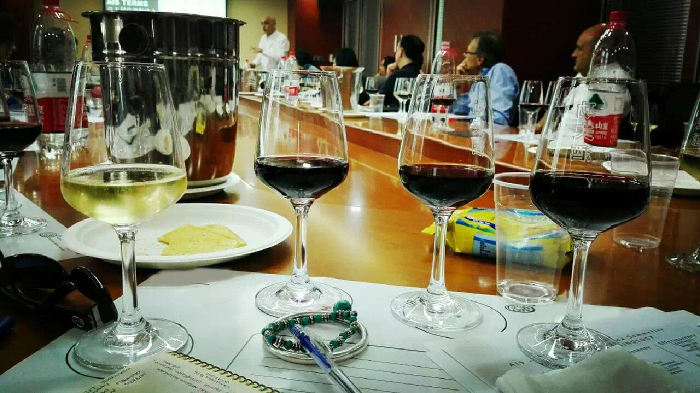 Italian Sommeliers of China - Introduction to the World of Wine seminar